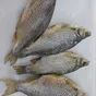 вяленая рыба от производителя в Перми и Пермском крае 3