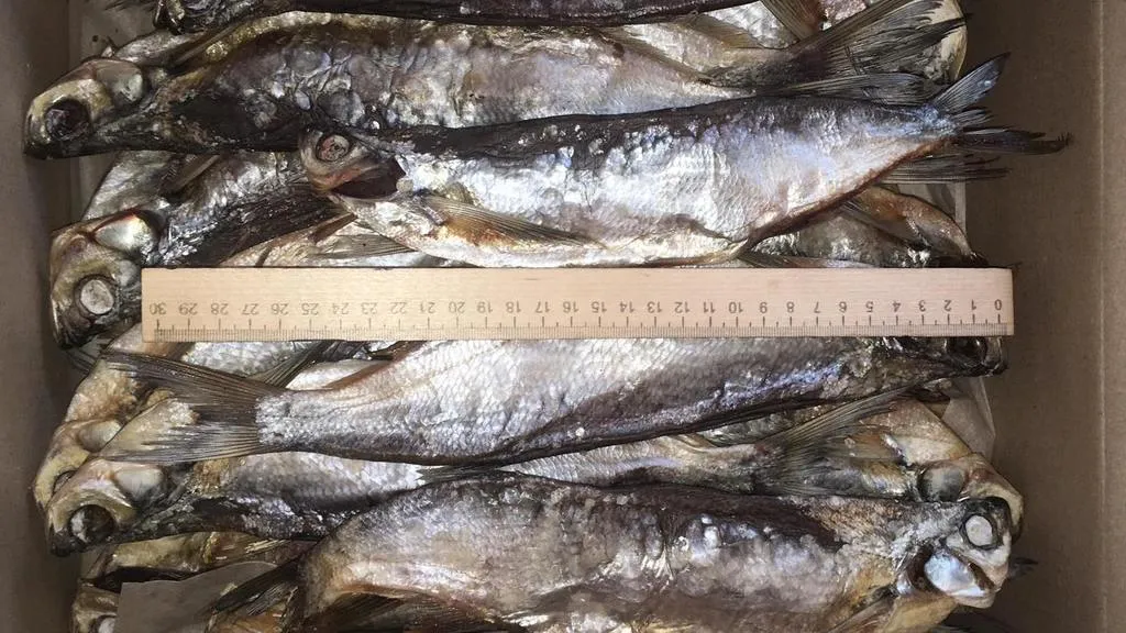 добыча и переработка речной рыбы в Перми 2