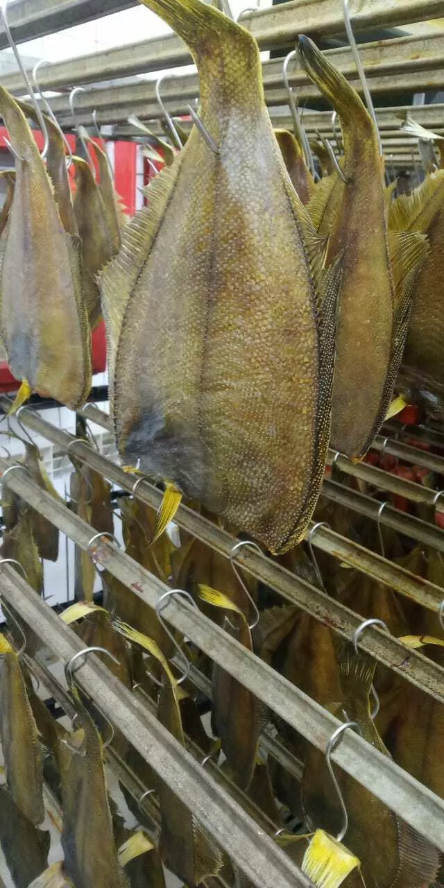 вяленая рыба от производителя в Перми и Пермском крае 3